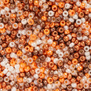 Miyuki Round Seed Beads Size 11/0 2mm, CBMIX85 Mix Shiny Glow