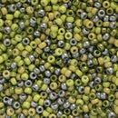 Miyuki Round Seed Beads Size 11/0 2mm, CBMIX95 Mix Kaki