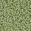 Miyuki Round Seed Beads Size 15/0 1.5mm, 4473 Duracoat Opaque Dyed Fennel