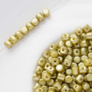 Les Perles Par Puca - Minos Par Puca 3x2.5mm, Pastel Lime