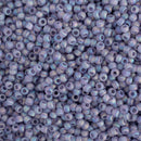 Toho Round Seed Beads Size 11/0 2.2mm, 166DF Transparent Rainbow Frosted Light Tanzanite, 8 grams